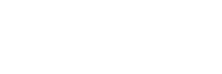 SEO Agency